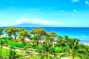 Condo (6 Bedrooms) | View from room