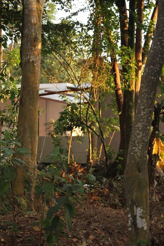 Tranquil forest cabin in Entebbe