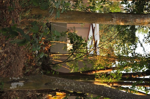 Tranquil forest cabin in Entebbe