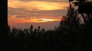 A sunset over a landscape with palm trees and a silhouette of a tree in the foreground. - Tranquil forest cabin in Entebbe (Entebbe)