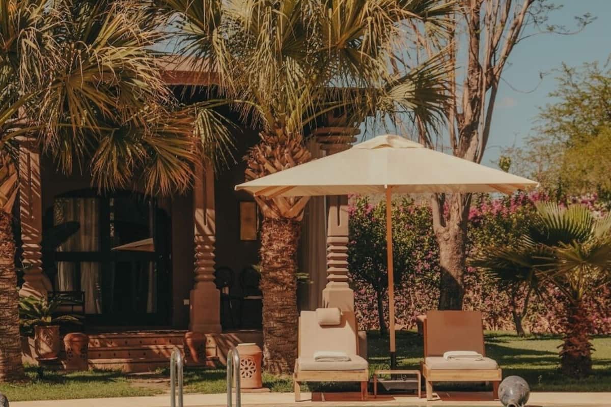 A pool area with lounge chairs and umbrellas, surrounded by palm trees and a building with columns.