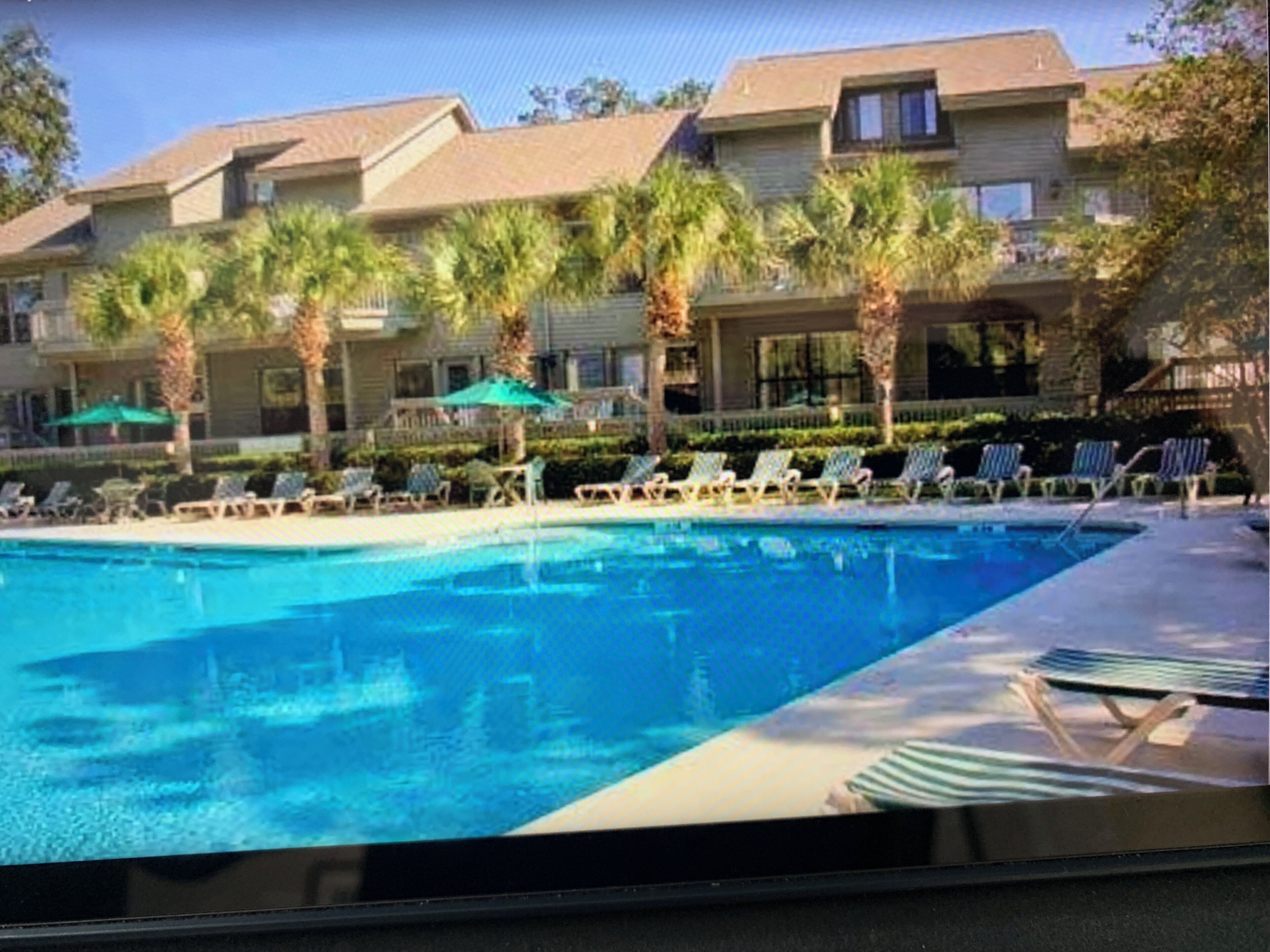 A swimming pool with lounge chairs and palm trees.