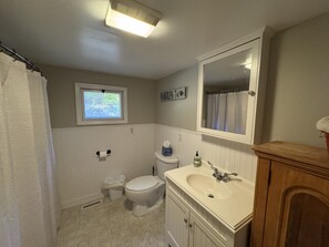 Hair dryer, towels, soap, toilet paper