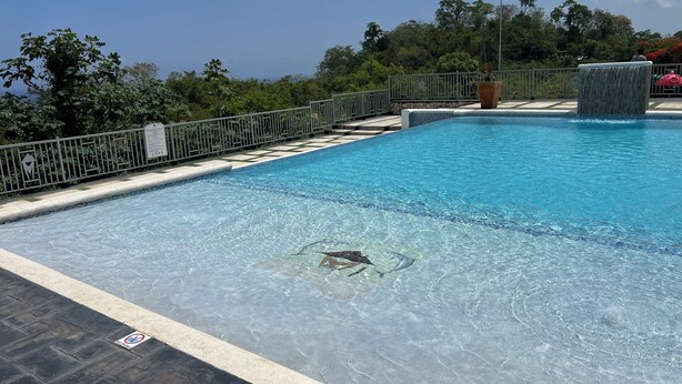 Ein Swimmingpool mit glatter, blauer Wasseroberfläche, umgeben von einem Metallzaun und einem gepflasterten Weg.