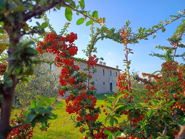 Parco della struttura