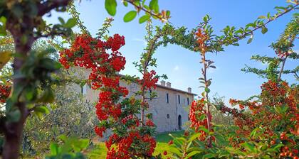 Farmhouse The Canticle of Tenderness