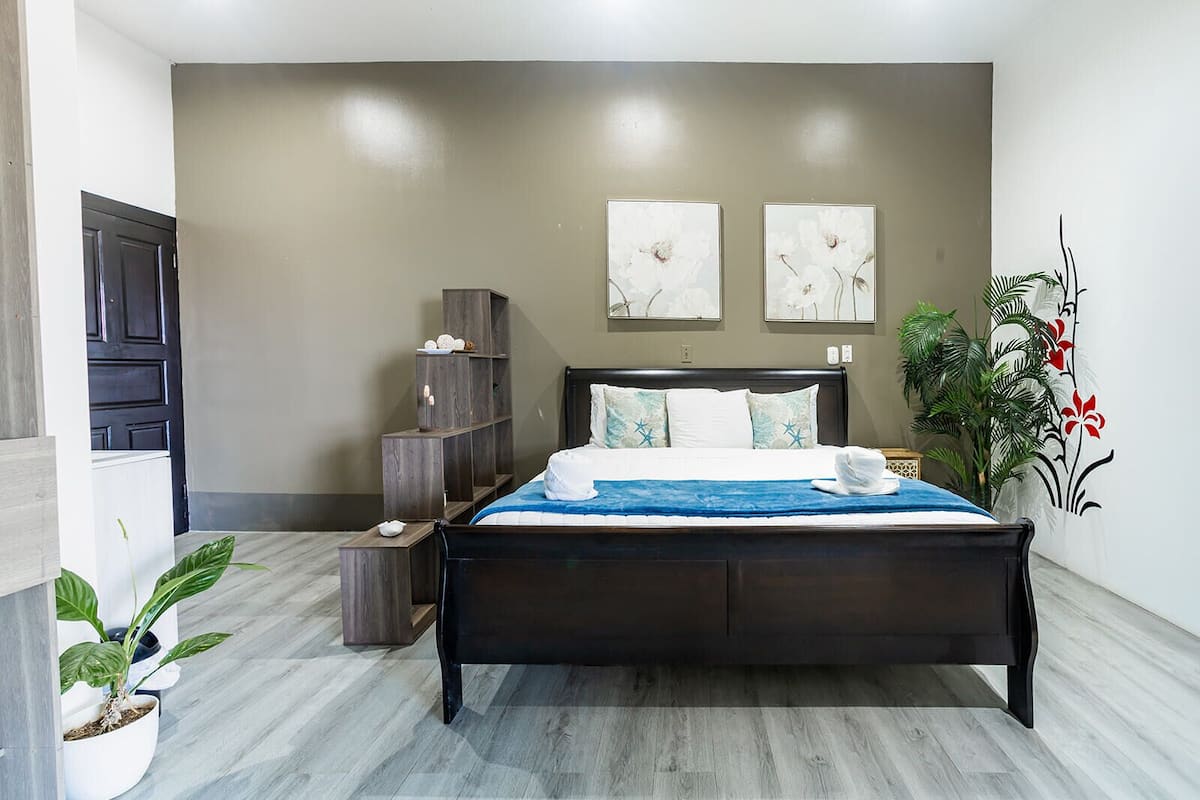 A modern bedroom with a dark wood bed, a small wooden nightstand, a wall-mounted shelf, and a large potted plant.
