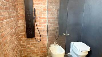 Shower, hair dryer, bidet, towels
