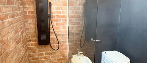 Shower, hair dryer, bidet, towels