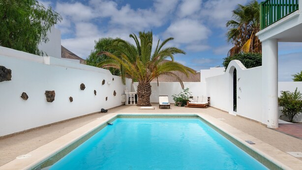 A swimming pool with a palm tree, a lounge chair, and a small table.