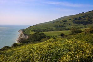 Miscellaneous - Stylish Crescent apartment Eastbourne Town Centre (East Sussex)