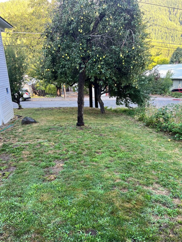Ulkoalueet