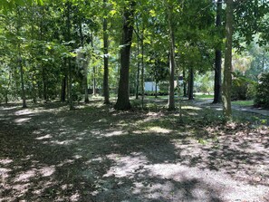 Property grounds - Marvelous 4-bedroom house with pool and AC in Gainesville (Gainesville)