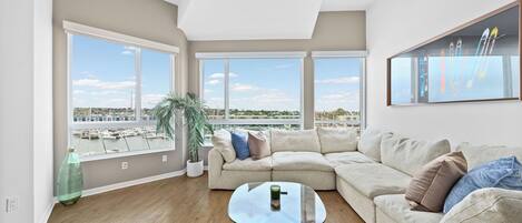 Smart TV, fireplace, DVD player, books