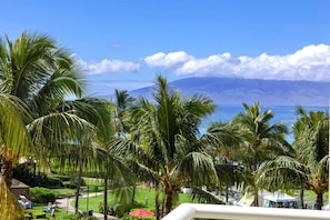 Condo (Multiple Bedrooms) | View from room