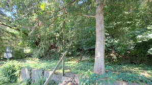 A set of stone steps leading up to a wooden handrail, surrounded by dense greenery and trees. - Whole Home by Heritage Trail, quiet street, outdoor games (Dubuque)