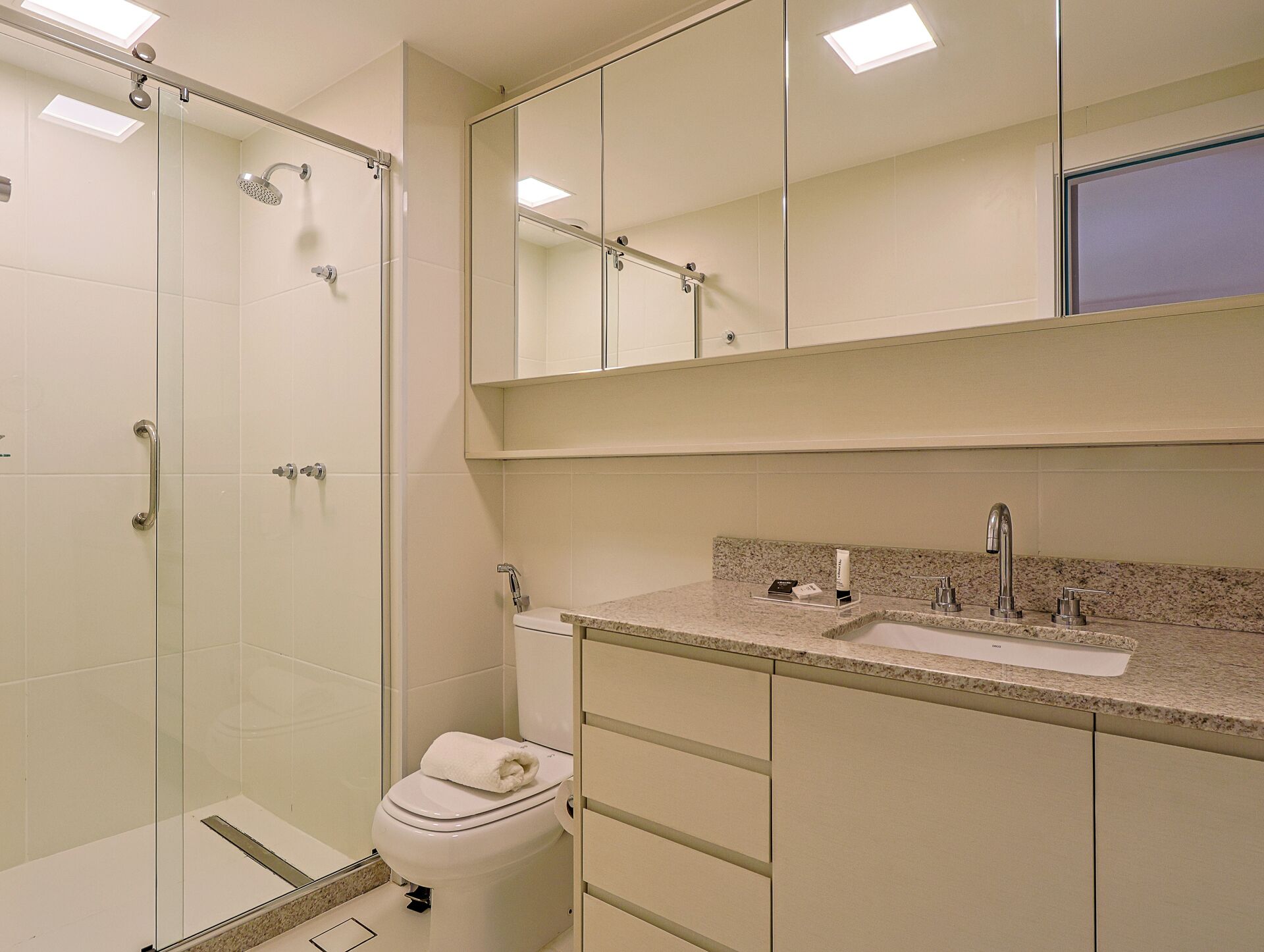 A modern bathroom with a glass shower enclosure, a toilet, a sink with a granite countertop, and a mirror above the sink.
