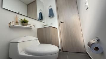 A modern bathroom with a toilet, a sink, a mirror, and a towel rack.