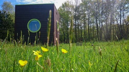 Venus square of stars