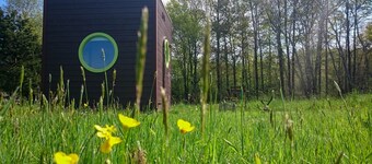 Venus square of stars