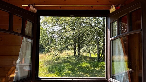 Una cabaña con un ventanal que ofrece vistas al bosque.