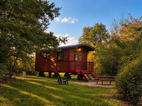 A wooden cabin with a porch and steps, surrounded by trees and grass.