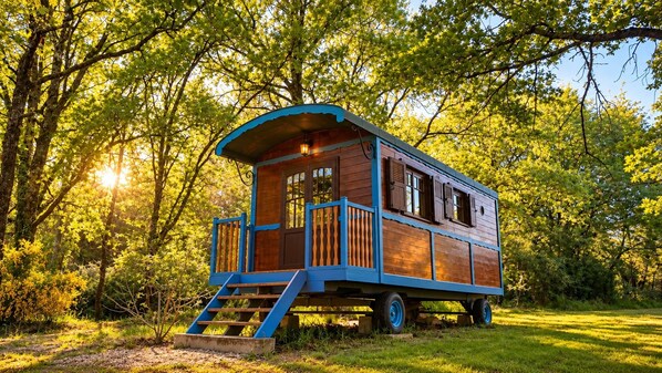 A wooden cabin with a porch and steps, surrounded by trees.