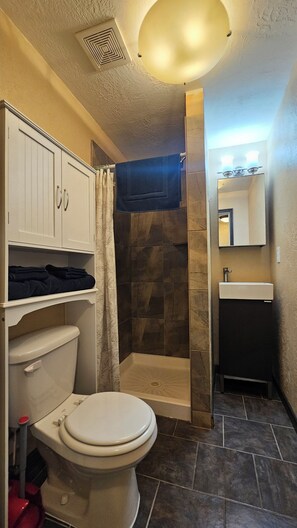 Shower, jetted tub, hair dryer, towels - Feel cozy and at home! Hot Tub, King Suite, Basement Unit with private entrance. (Provo)