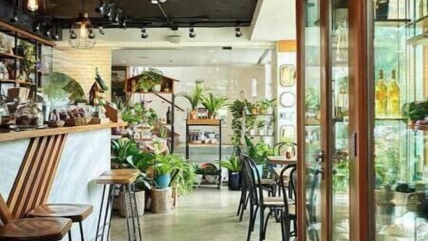 A modern cafe interior with a bar area, seating, and potted plants.