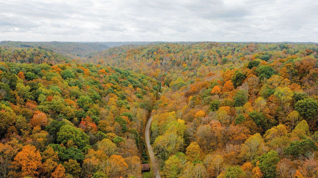 A forested landscape with a winding road.