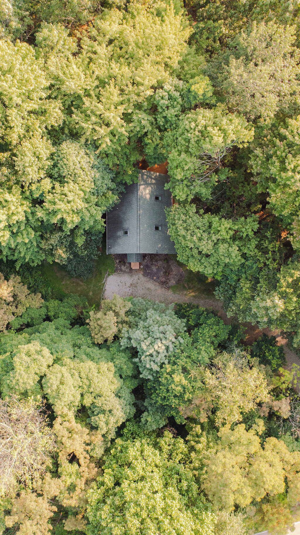 An aerial view of a house surrounded by dense green foliage.