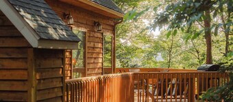 Cheerful Two Bdrm Cabin With Hot Tub & Pet Friendly