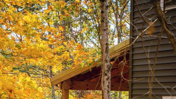 A wooden deck attached to a house surrounded by autumn foliage. - The Treetop Retreat Family Getaway in Scenic Hocking Hills (Logan)