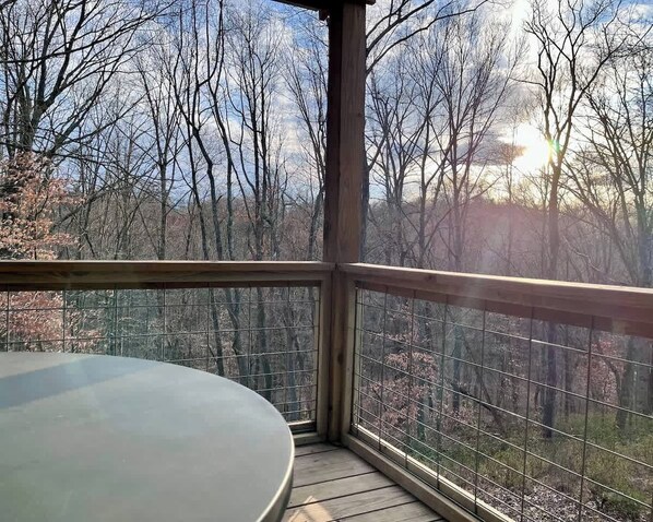 Cabin, Multiple Beds, Patio (The Treetop) | View from room