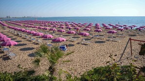 Una playa con hileras de sombrillas rosas y tumbonas.