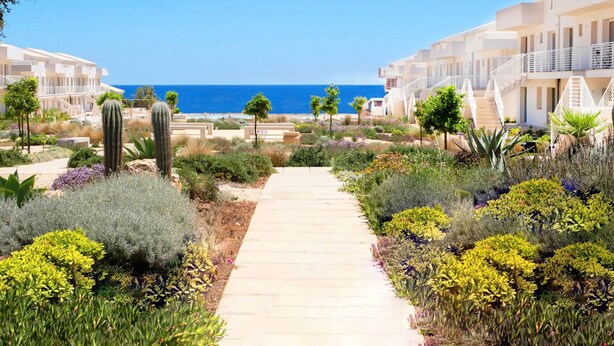 Un sentier menant à un hôtel situé en bord de mer, offrant une vue dégagée sur l’océan.