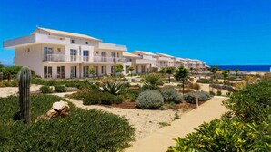 Une rangée de bâtiments modernes blancs, dotés de balcons, un sentier sablonneux et une variété de plantes désertiques.