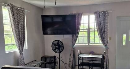 Newly Renovated Sea View 1-bedroom apartment in Tortola