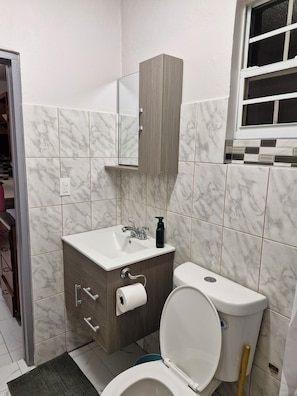 Shower, hair dryer, towels, soap