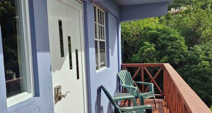 Newly Renovated Sea View 1-bedroom apartment in Tortola
