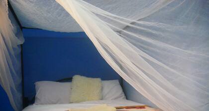 The Peaceful Den