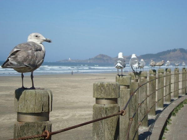 Ubicación cercana a la playa