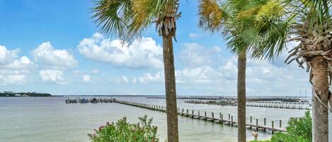 Terrain de lâhĂ©bergement