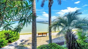 A coastal walkway with benches, palm trees, and a view of the sea.