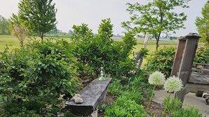 A garden with a wooden bench, various plants, and a small structure. - Perfect 1-bedroom apartment in Marlette unit 2 (Marlette)