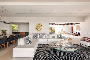 Smart TV, fireplace, books