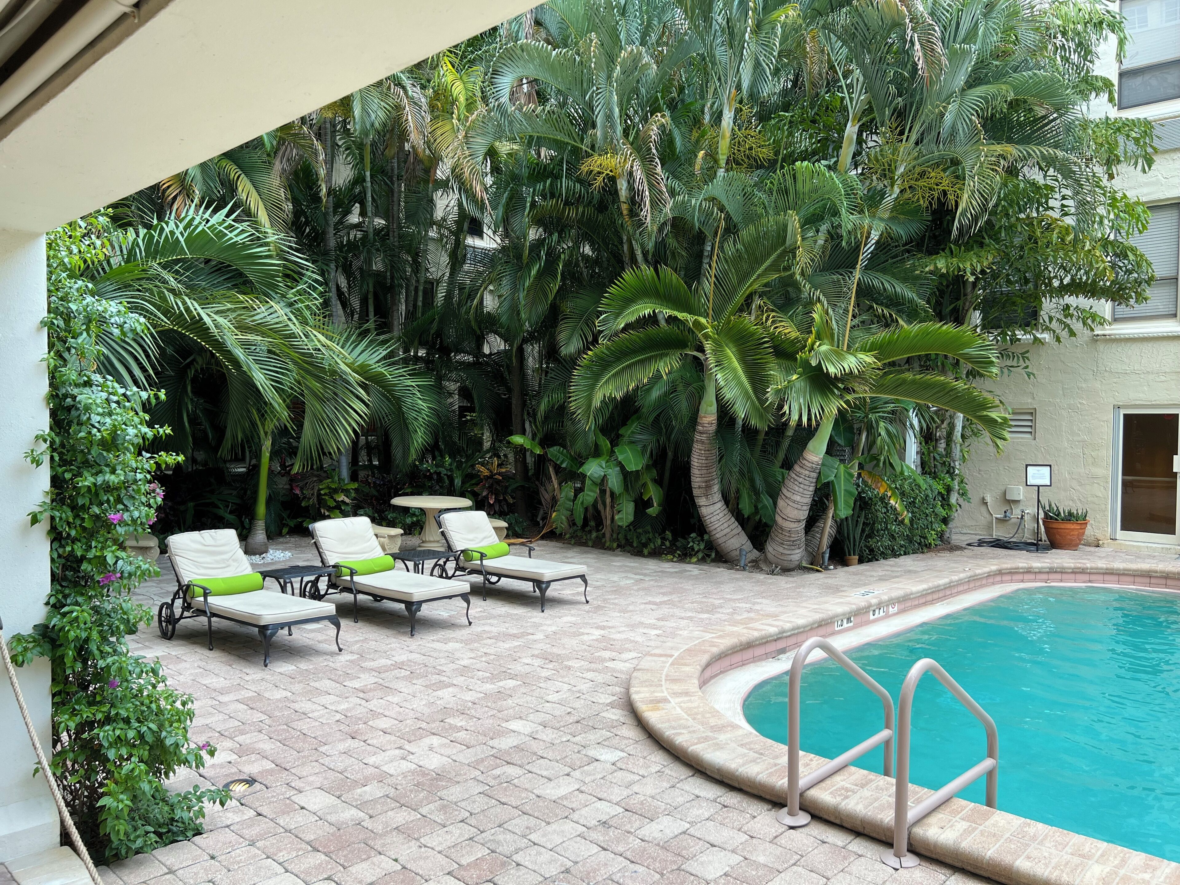 Zona junto a la piscina con sillones de descanso y una pequeña mesa, rodeada de exuberante follaje tropical.