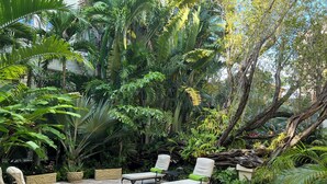 Une terrasse dotée de chaises longues et d’un sol en briques, entourée d’une végétation tropicale luxuriante.