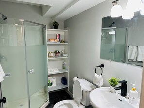 Douche, sèche-cheveux, serviettes fournies, savon