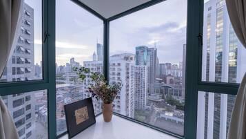 Deluxe Apartment, City View | View from room